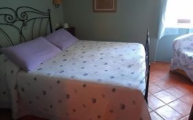 Gli Ulivi Bed & Breakfast